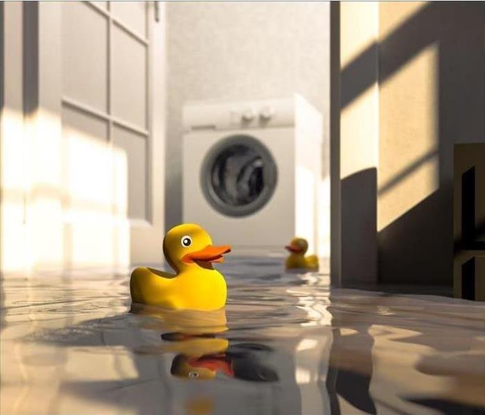 Ruber duck in a pool of water in laundry room