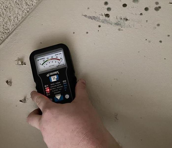 moisture meter on a white wall with high moisture and visible mold