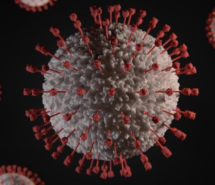 A COVID-19 virus example